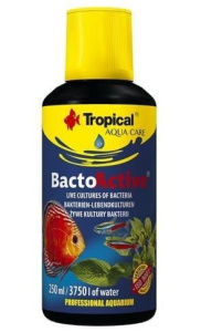 Tropical Bacto Active 250ML (Bakteri Kültürü)