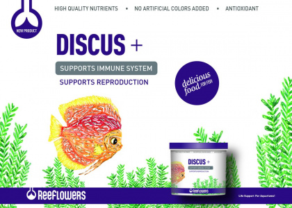 Reeflowers Dıscus+ 250ml 136gr Orjınal Kutu