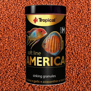 Tropical Soft Line America M 100 ml 60 gr