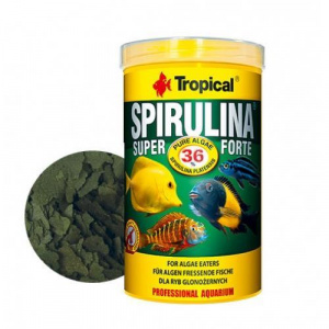 Tropical Spirulina Super Forte Pul Yem 50 GR 